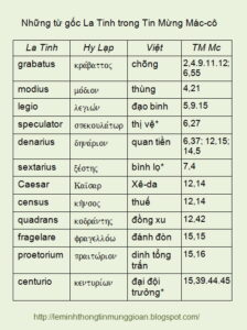 LaTinh-trong-TinMung-Macco-1.jpg